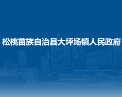 松桃苗族自治县大坪场镇人民政府