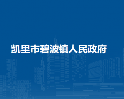 凯里市碧波镇人民政府