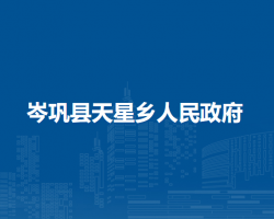 岑巩县天星乡人民政府