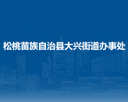 松桃苗族自治县大兴街道办事处