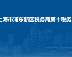 上海市浦东新区税务局第十税务所
