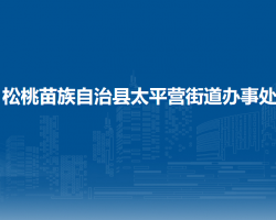 松桃苗族自治县太平营街道办事处