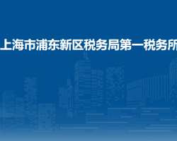 上海市浦东新区税务局第一税务所