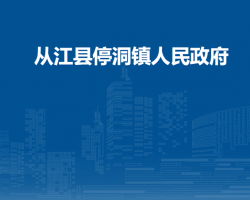 从江县停洞镇人民政府
