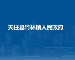 天柱县竹林镇人民政府