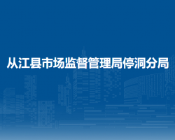 从江县市场监督管理局停洞分局