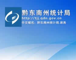 黔东南州统计局网上办事大厅