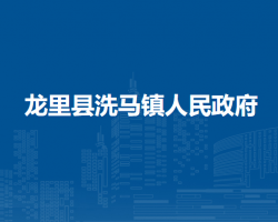 龙里县洗马镇人民政府