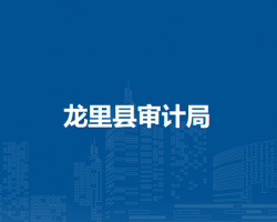 龙里县审计局