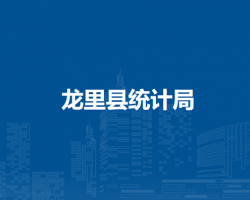 龙里县统计局