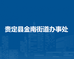 贵定县金南街道办事处