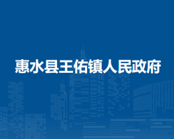 惠水县王佑镇人民政府