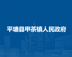 平塘县甲茶镇人民政府