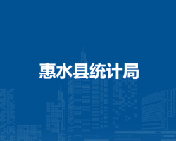 惠水县统计局