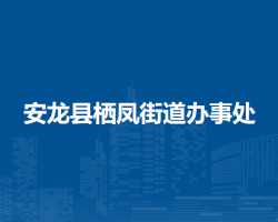 安龙县栖凤街道办事处