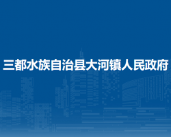三都水族自治县大河镇人民政府