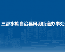 三都水族自治县凤羽街道办事处