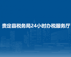 贵定县税务局24小时办税服务厅