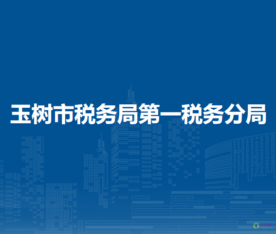 玉树市税务局第一税务分局政务服务中心办税窗口