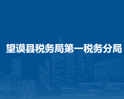 望谟县税务局第一税务分局