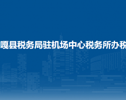 贡嘎县税务局驻机场中心税务所办税厅