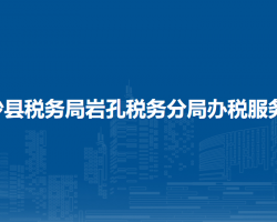 金沙县税务局岩孔税务分局办税服务点