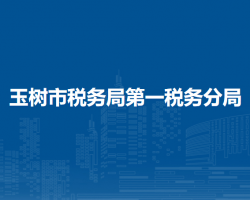 玉树市税务局第一税务分局