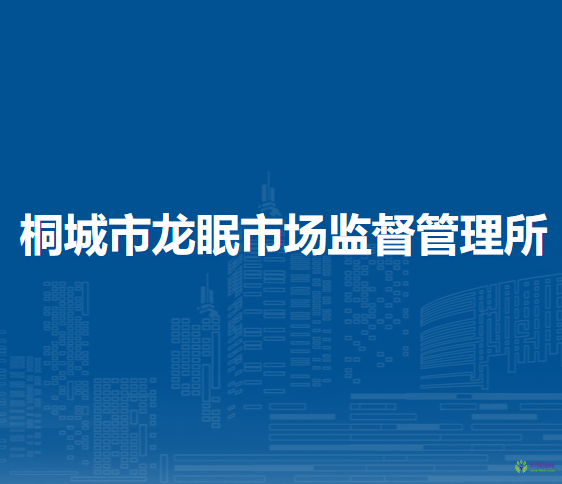 桐城市龙眠市场监督管理所