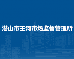 潜山市王河市场监督管理所