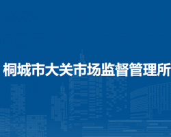 桐城市大关市场监督管理所