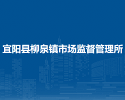 宜阳县柳泉镇市场监督管理