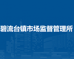 巴林左旗碧流台镇市场监督管理所