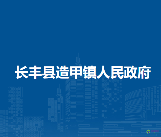 长丰县造甲镇人民政府