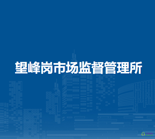淮南市谢家集区望峰岗市场监督管理所