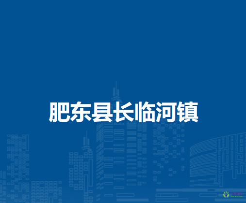 肥东县长临河镇人民政府
