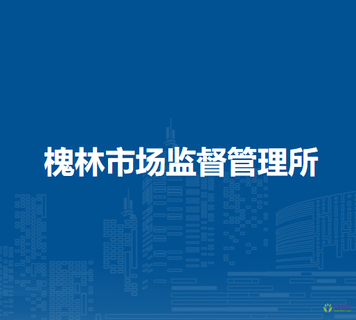 巢湖市槐林市场监督管理所