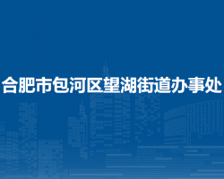 合肥市包河区望湖街道办事处