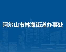 阿尔山市林海街道办事处