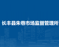 长丰县朱巷市场监督管理所