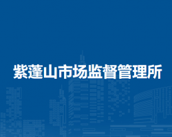 肥西县紫蓬山市场监督管理所