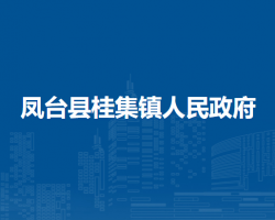 凤台县桂集镇人民政府