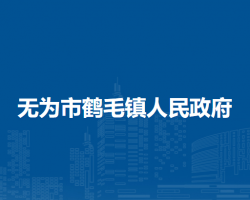 无为市鹤毛镇人民政府