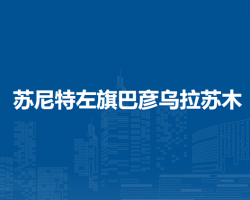 苏尼特左旗巴彦乌拉苏木人民政府