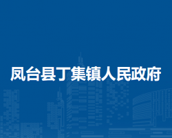 凤台县丁集镇人民政府