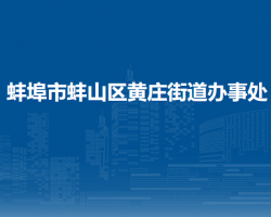 蚌埠市蚌山区胜利街道办事处