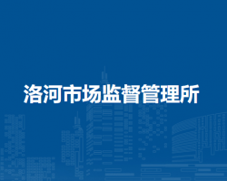 淮南市大通区洛河市场监督管理所