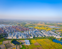 肥西县柿树岗乡人民政府