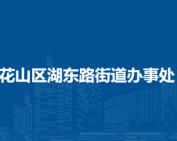 马鞍山市花山区湖东路街道办事处