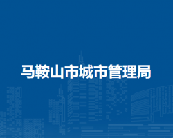 马鞍山市城市管理局