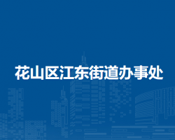 马鞍山市花山区江东街道办事处